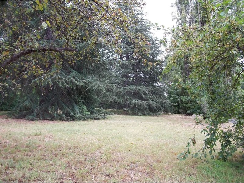 449 Conrod Straight, Bathurst NSW 2795