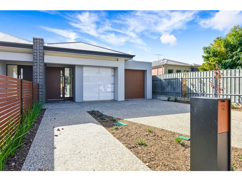 12 Dudley Avenue, Daw Park SA 5041