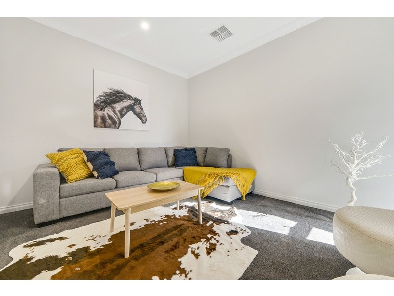 12 Dudley Avenue, Daw Park SA 5041