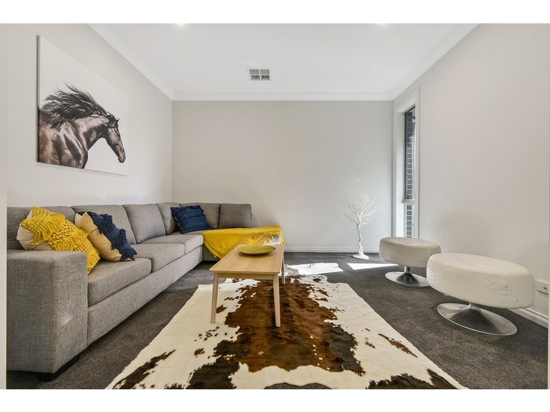 12 Dudley Avenue, Daw Park SA 5041