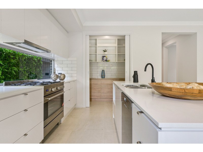 12 Dudley Avenue, Daw Park SA 5041