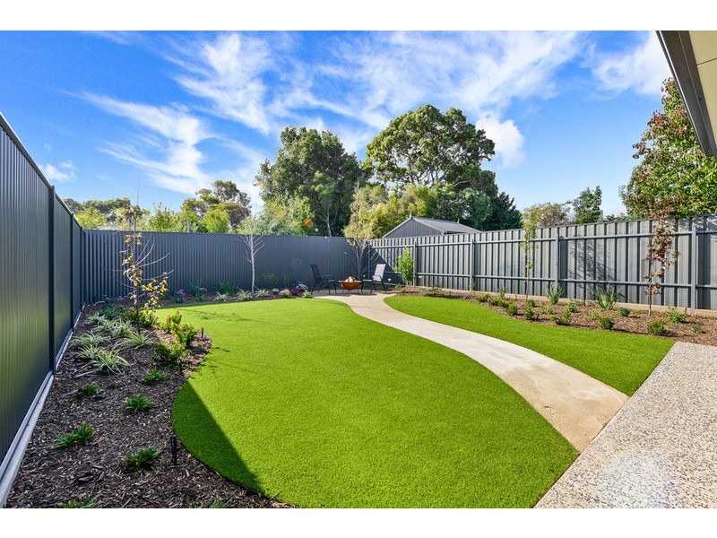 12 Dudley Avenue, Daw Park SA 5041