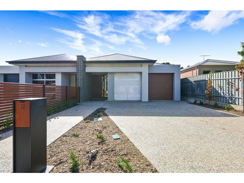 12 Dudley Avenue, Daw Park SA 5041