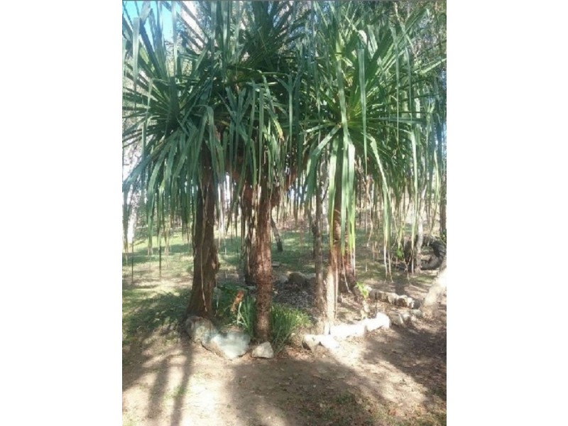 53 Windsor Drive, Hay Point QLD 4740