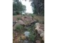 53 Windsor Drive, Hay Point QLD 4740