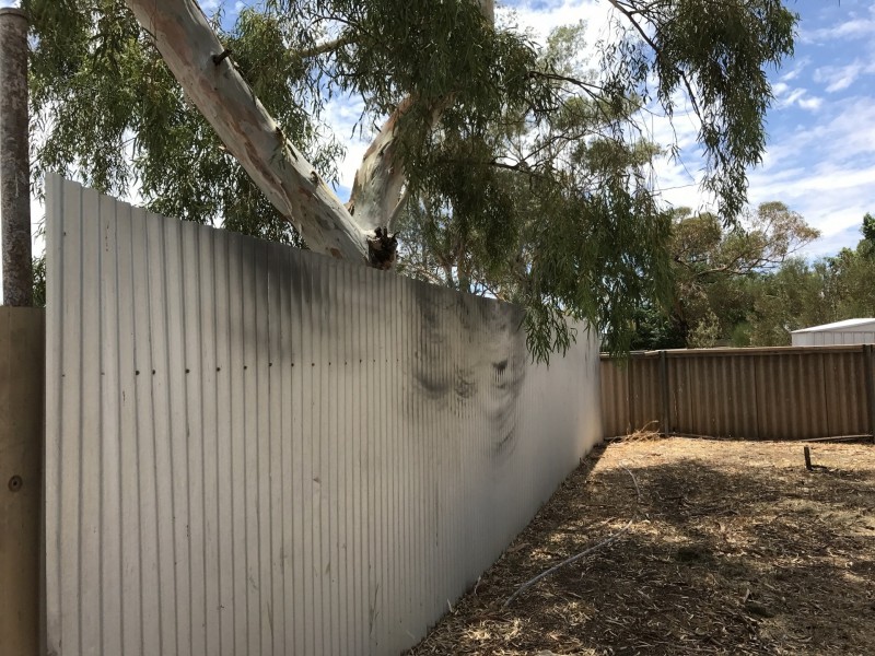 99 Hepburn Street, Mount Magnet WA 6638