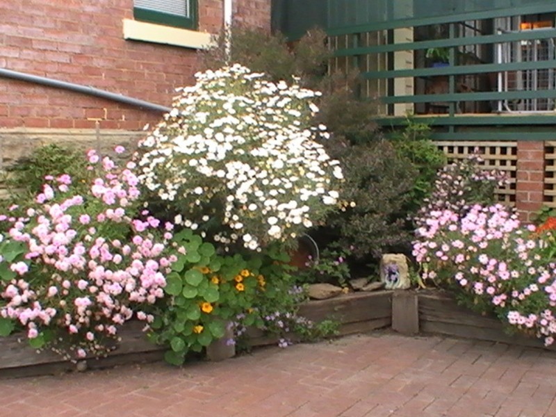 94 Giblin St, Lenah Valley TAS 7008