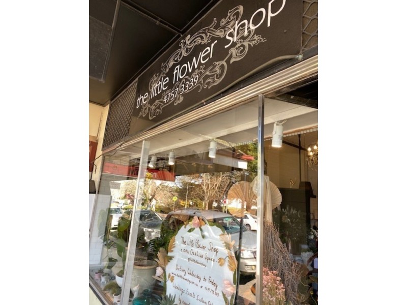 22 Plantation Street, Wentworth Falls NSW 2782