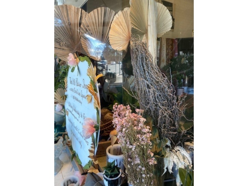 22 Plantation Street, Wentworth Falls NSW 2782