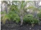 375 Marshall Rd, Argyle WA 6239