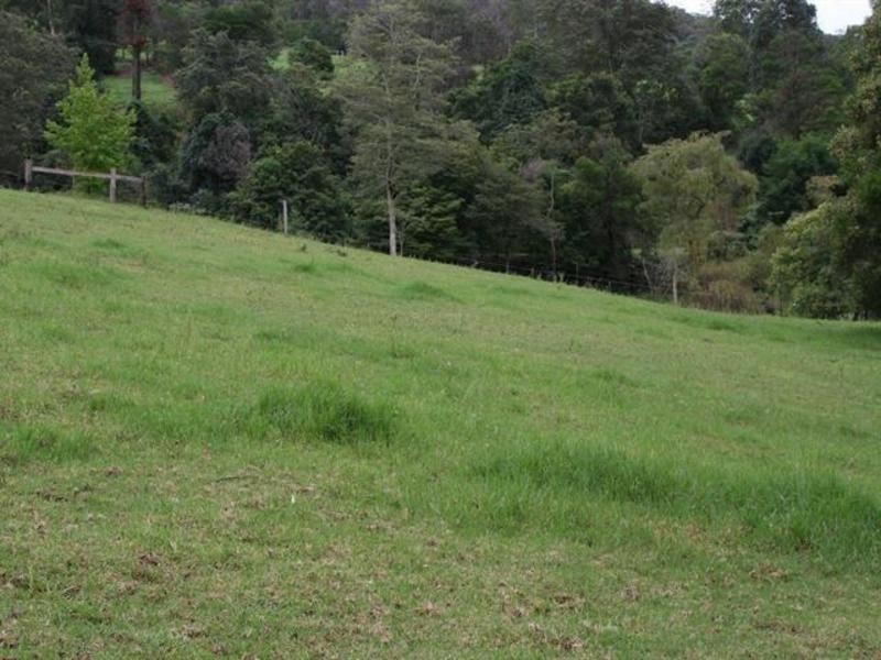 Kurrajong NSW 2758