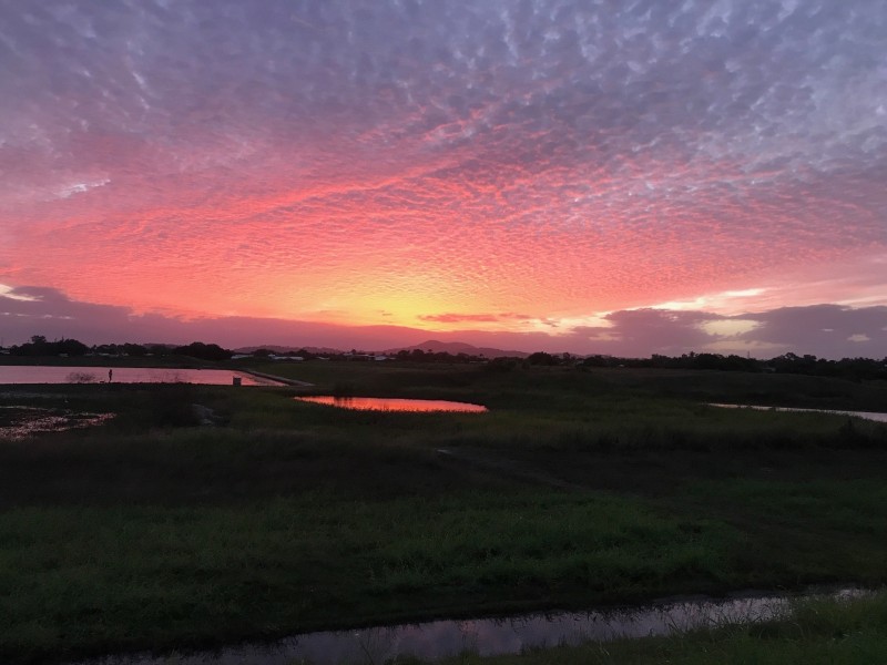 Lot (Lot 51), 6 Glendale St, Andergrove QLD 4740