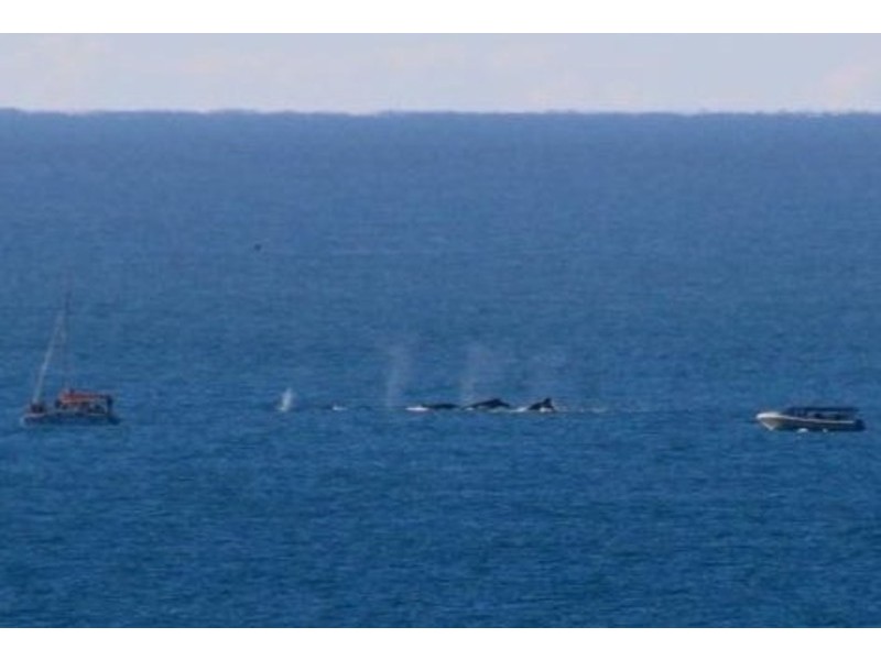 1603/121 Pacific Towers, Coffs Harbour NSW 2450