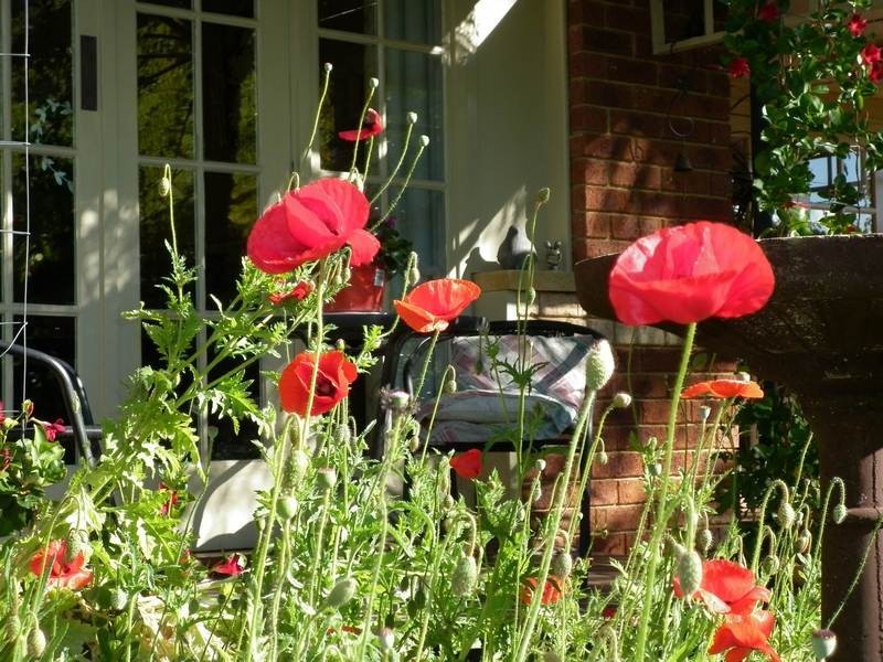 364 Alexander Road, Belmont WA 6104