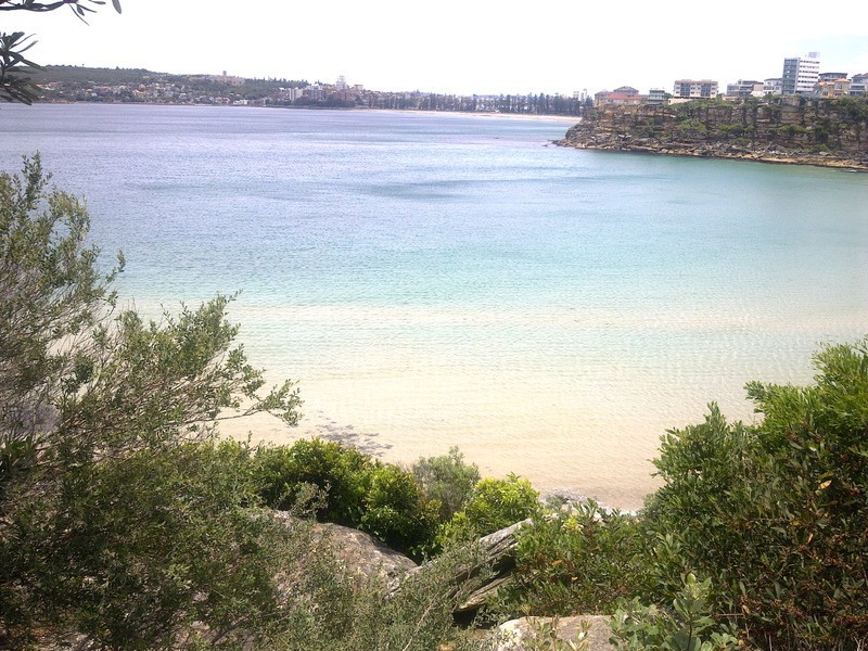 9/1-3 Evans St, Freshwater NSW 2096