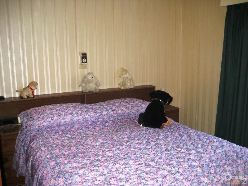 52 York Ave, Clovelly Park SA 5042