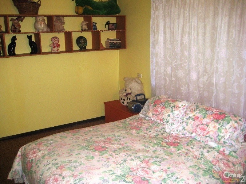 52 York Ave, Clovelly Park SA 5042