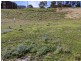 Lot 4/143 Pottery Rd (Agena Retreat), Lenah Valley TAS 7008