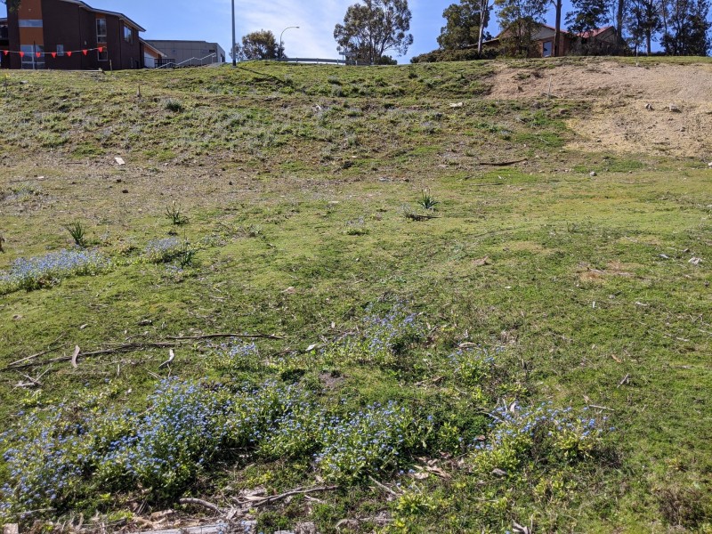 Lot 4/143 Pottery Rd (Agena Retreat), Lenah Valley TAS 7008