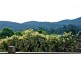 4/99 Maroondah Highway, Healesville VIC 3777