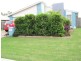 14 Brackish Crt, Toogoom QLD 4655