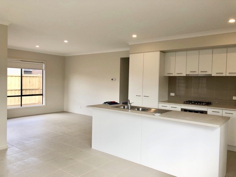 17 Briggs Way, Tarneit VIC 3029