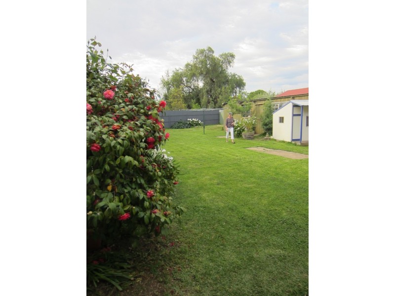 38 Maud Street, Unley SA 5061