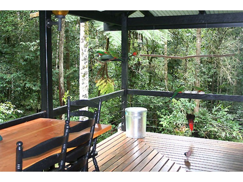 17 Eacham Close, Yungaburra, Atherton Tablelands, Cairns QLD 4870
