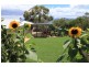 3 Talantee Street, Dodges Ferry TAS 7173