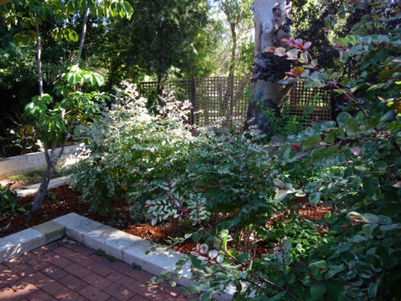 31 Begonia Close, Ferndale WA 6148