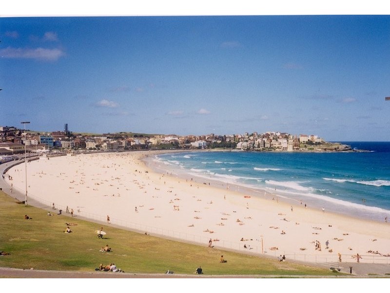 204 Old South Head Road, Bellevue Hill NSW 2023