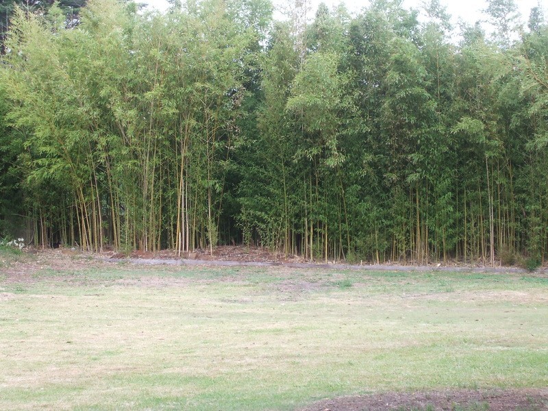 East Lindfield NSW 2070