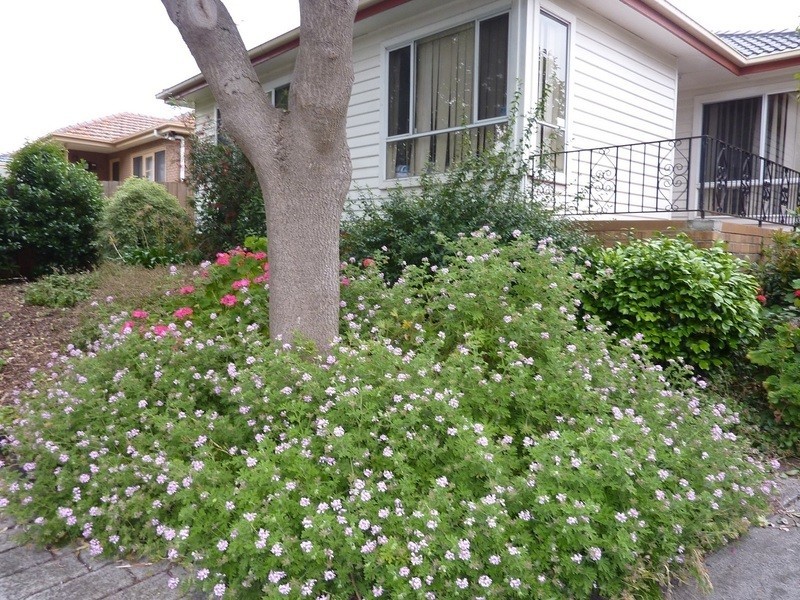 Bulleen VIC 3105