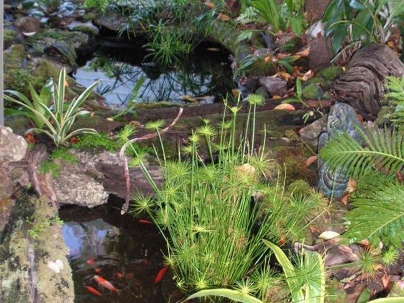 3 Ruth Lowe Court, Valla Beach NSW 2448