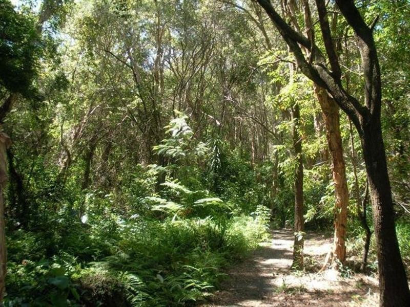 3 Ruth Lowe Court, Valla Beach NSW 2448