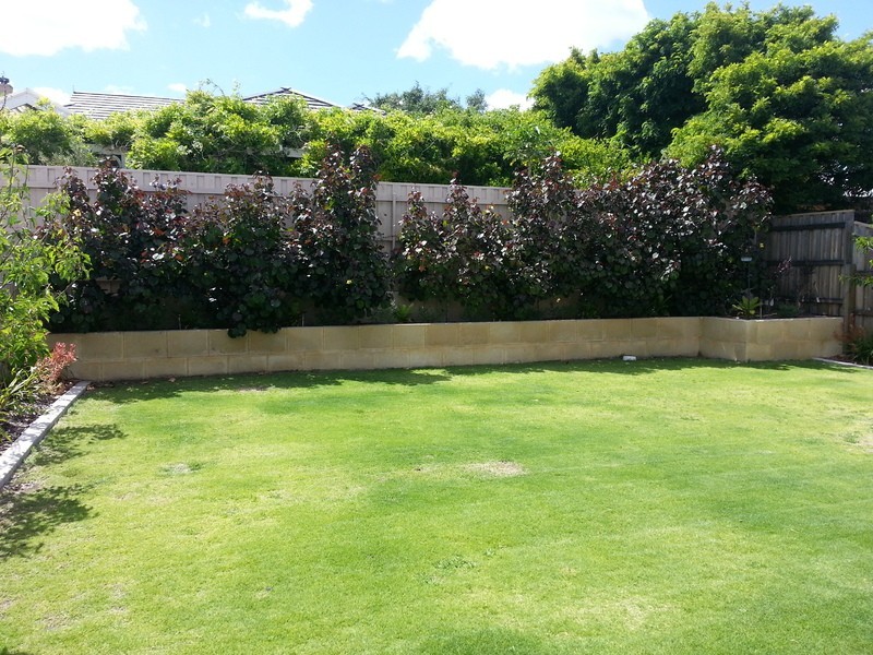 16A Dalkeith Road, Nedlands WA 6009