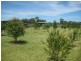 2 Halloran Road, Tea Gardens NSW 2324