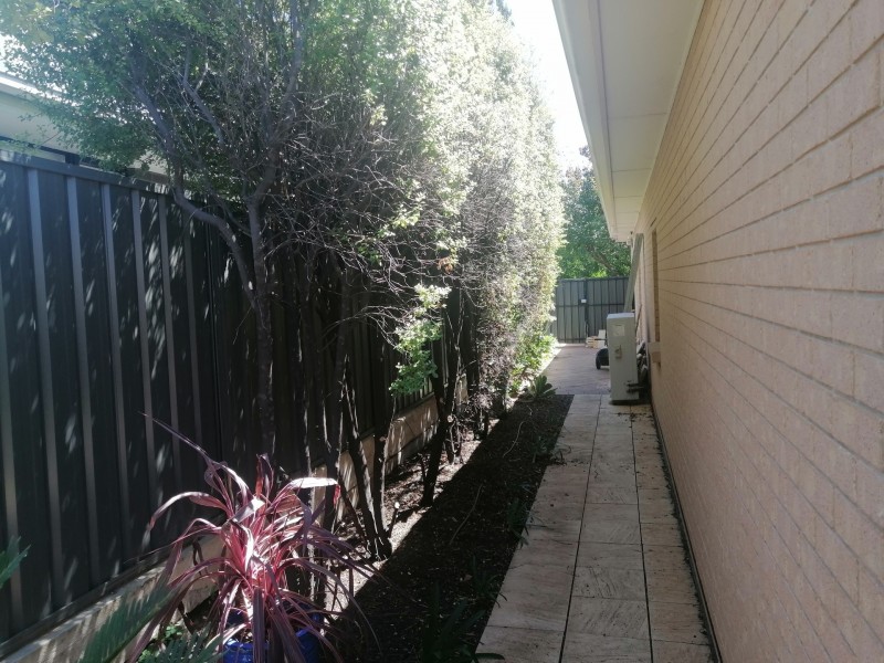 10 Roslind  street, Kensington Gardens SA 5068