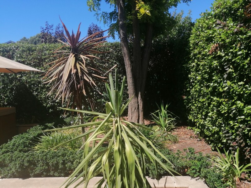 10 Roslind  street, Kensington Gardens SA 5068