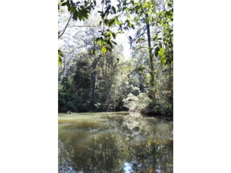 1157 Stoney Chute Road, Wadeville NSW 2474