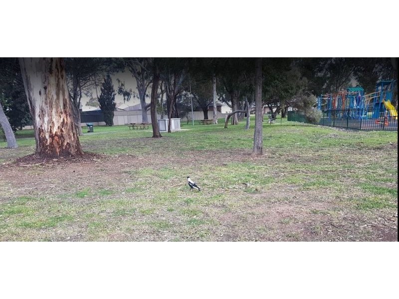 5 Allchurch Avenue, North Plympton SA 5037