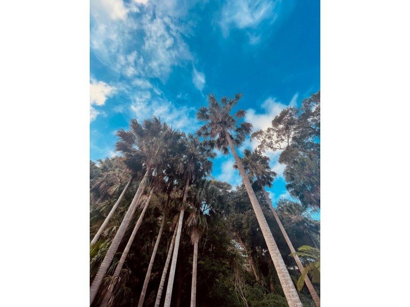 34B Nullaburra Road, Newport NSW 2106