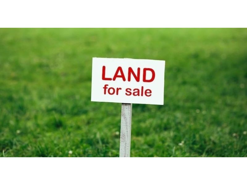 243 Taloumbi Crsecent, Greenvale VIC 3059