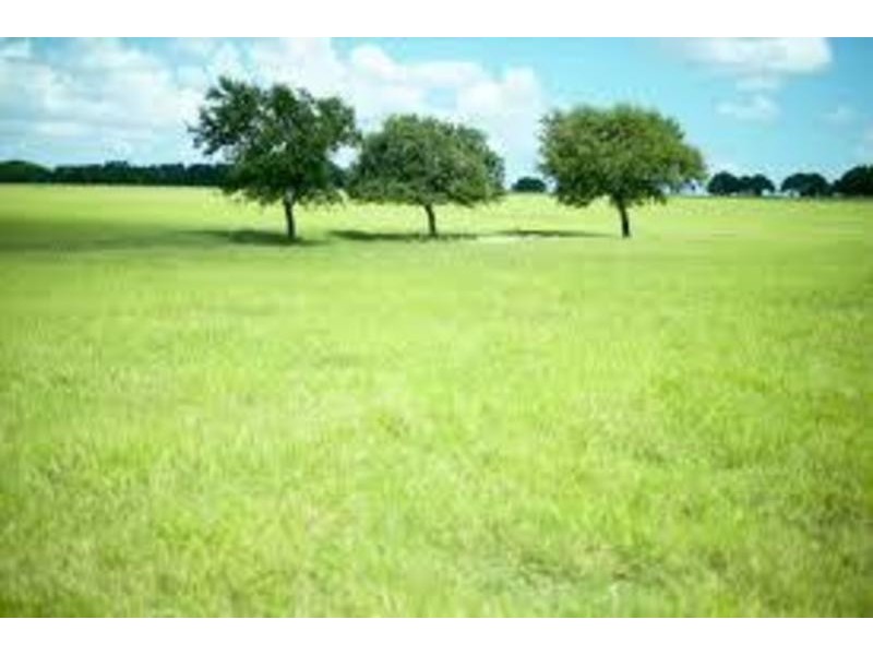 243 Taloumbi Crsecent, Greenvale VIC 3059