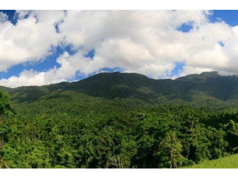 173 Ellis Rd, Bellenden Ker QLD 4871