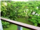 65 Beardow Street, Lismore Heights NSW 2480