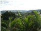 65 Beardow Street, Lismore Heights NSW 2480