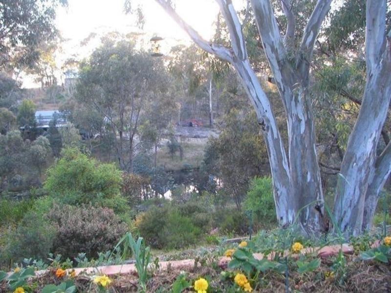 11 Butterworth St, Castlemaine VIC 3450