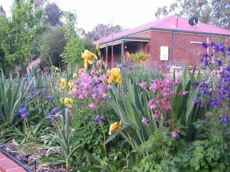 11 Butterworth St, Castlemaine VIC 3450