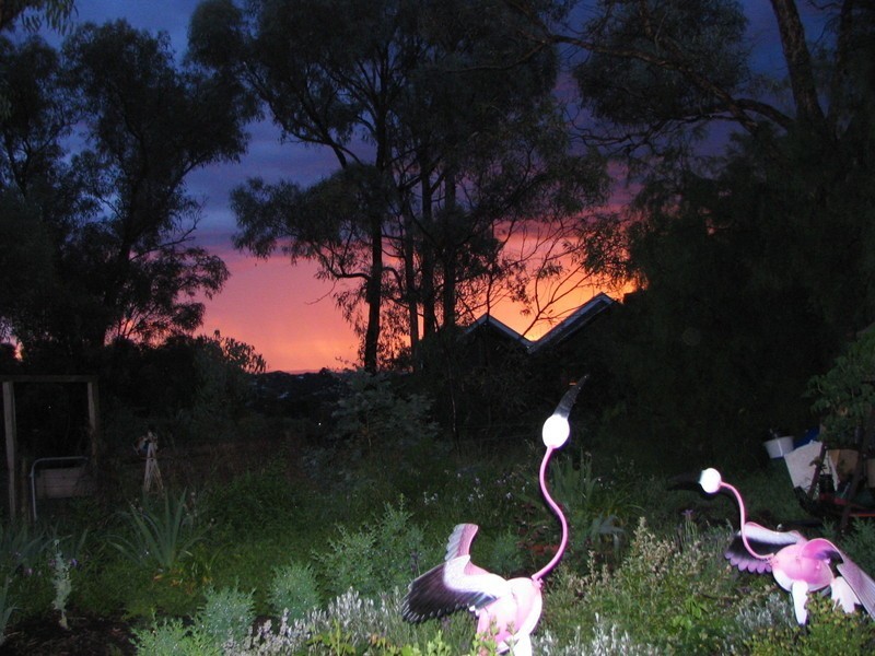 11 Butterworth St, Castlemaine VIC 3450